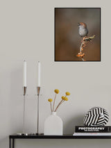 TINY Poster och Canvastavla