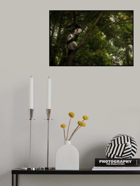 Panda Poster och Canvastavla