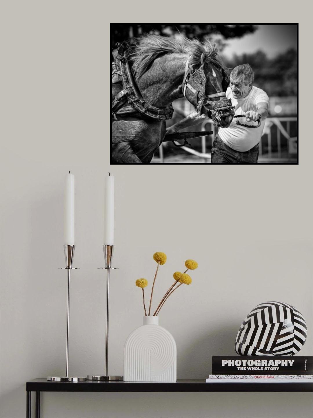 Romero Poster och Canvastavla
