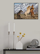 Expression Poster och Canvastavla