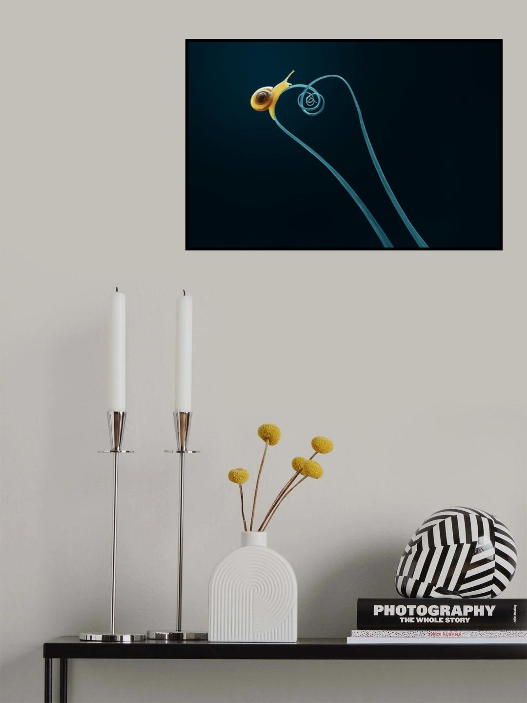 little snail Poster och Canvastavla