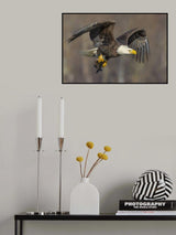 Dinner for today Poster och Canvastavla