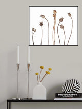 Poppies Poster och Canvastavla