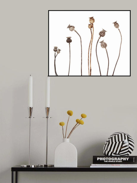 Poppies Poster och Canvastavla