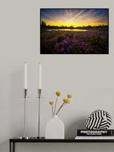 Golden Pond Poster och Canvastavla