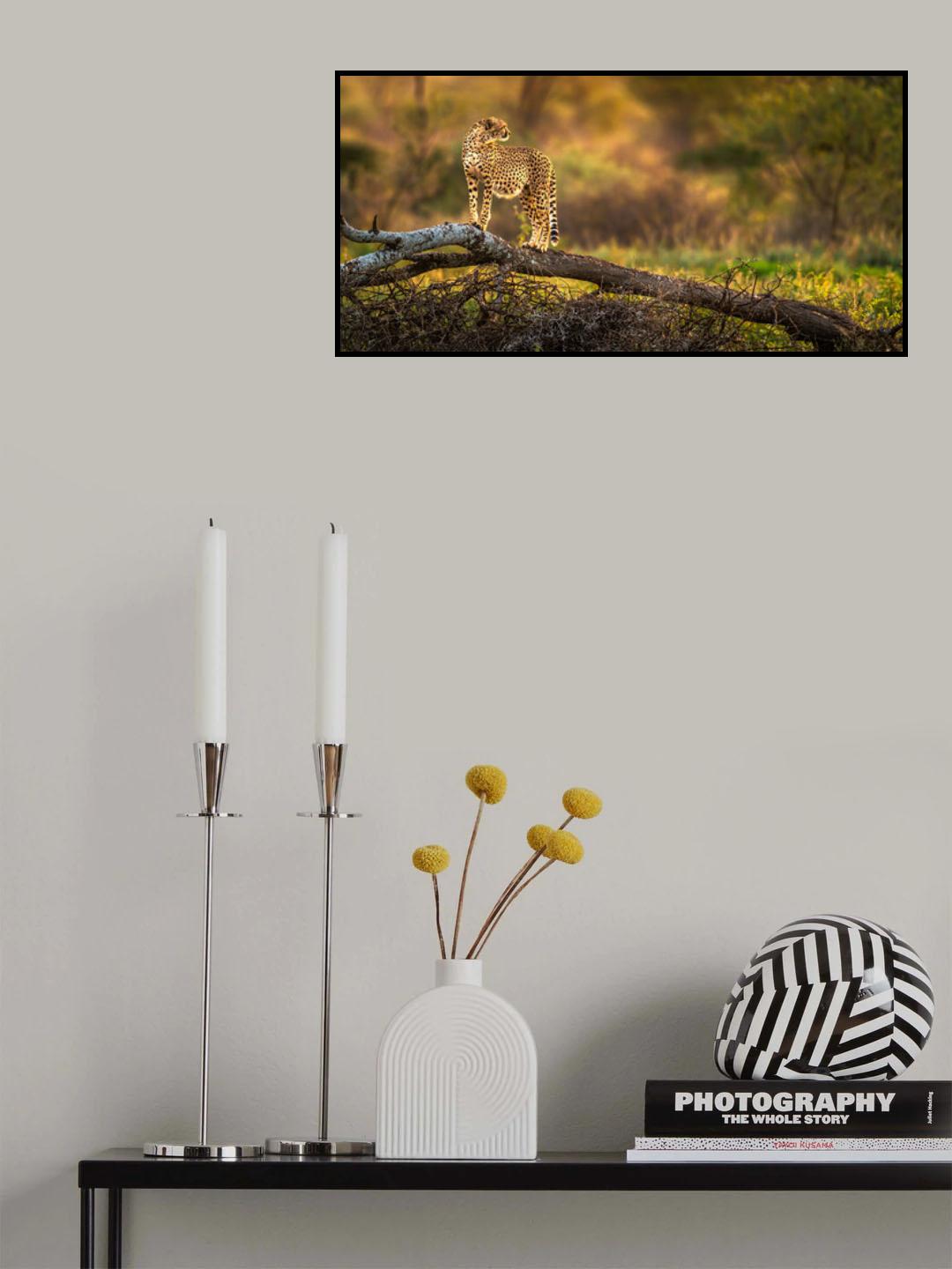 A cheetah standing on the dry tree Poster och Canvastavla