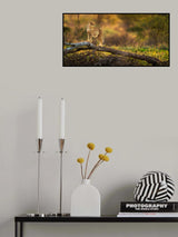 A cheetah standing on the dry tree Poster och Canvastavla