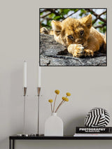 Future Queen Poster och Canvastavla