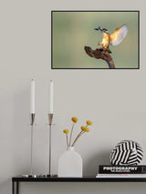 have come Poster och Canvastavla