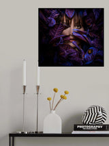 ...Aurora Poster och Canvastavla