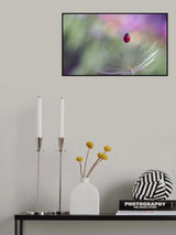 Spectator of the Northern Lights... Poster och Canvastavla