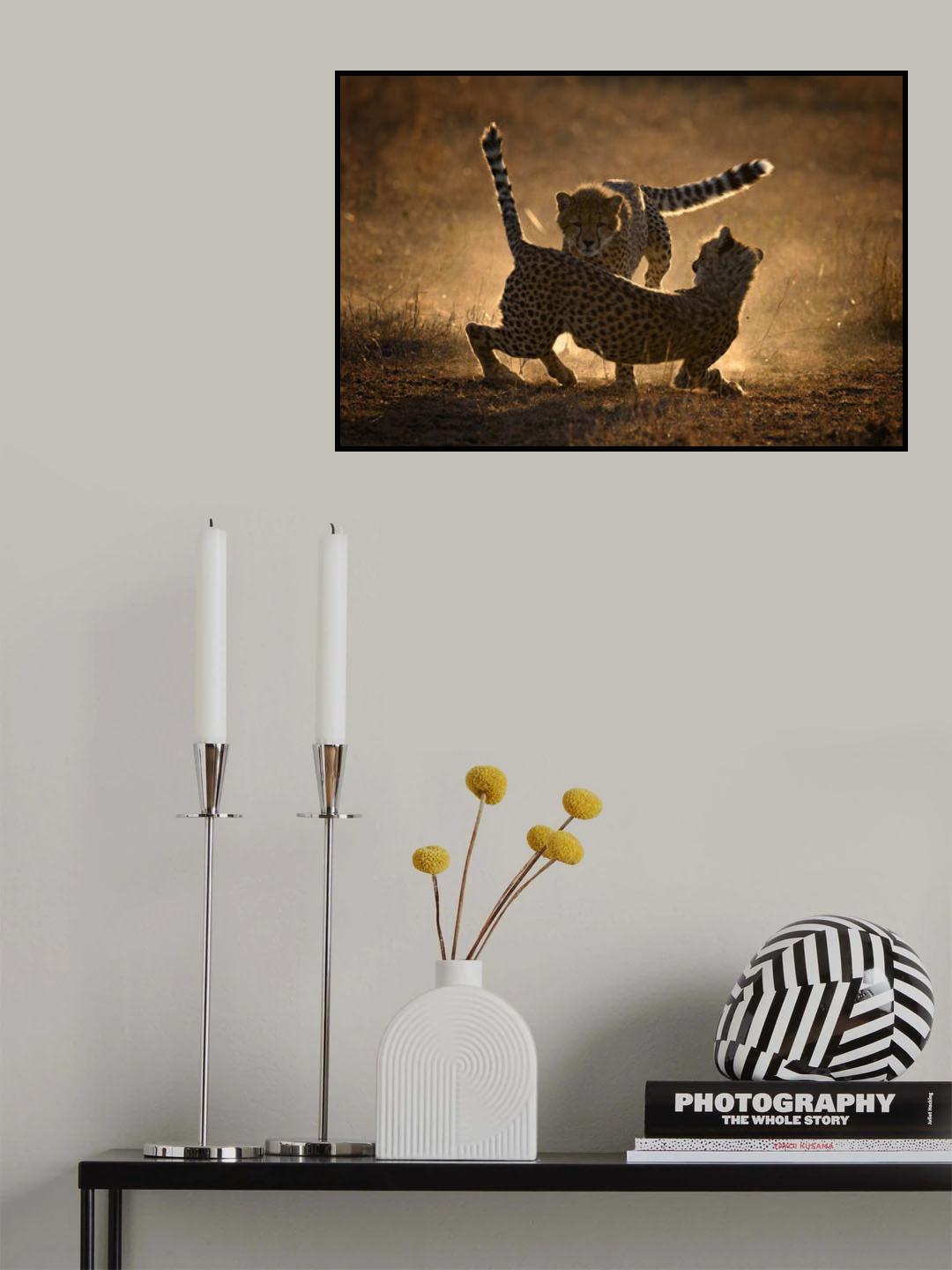 Fight in the dust Poster och Canvastavla