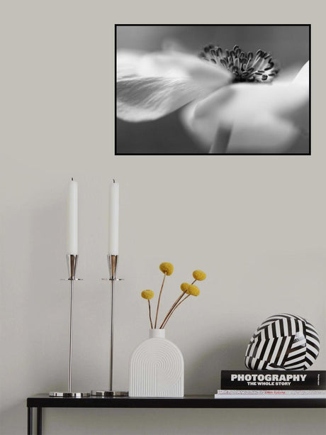 Poster och Canvastavla