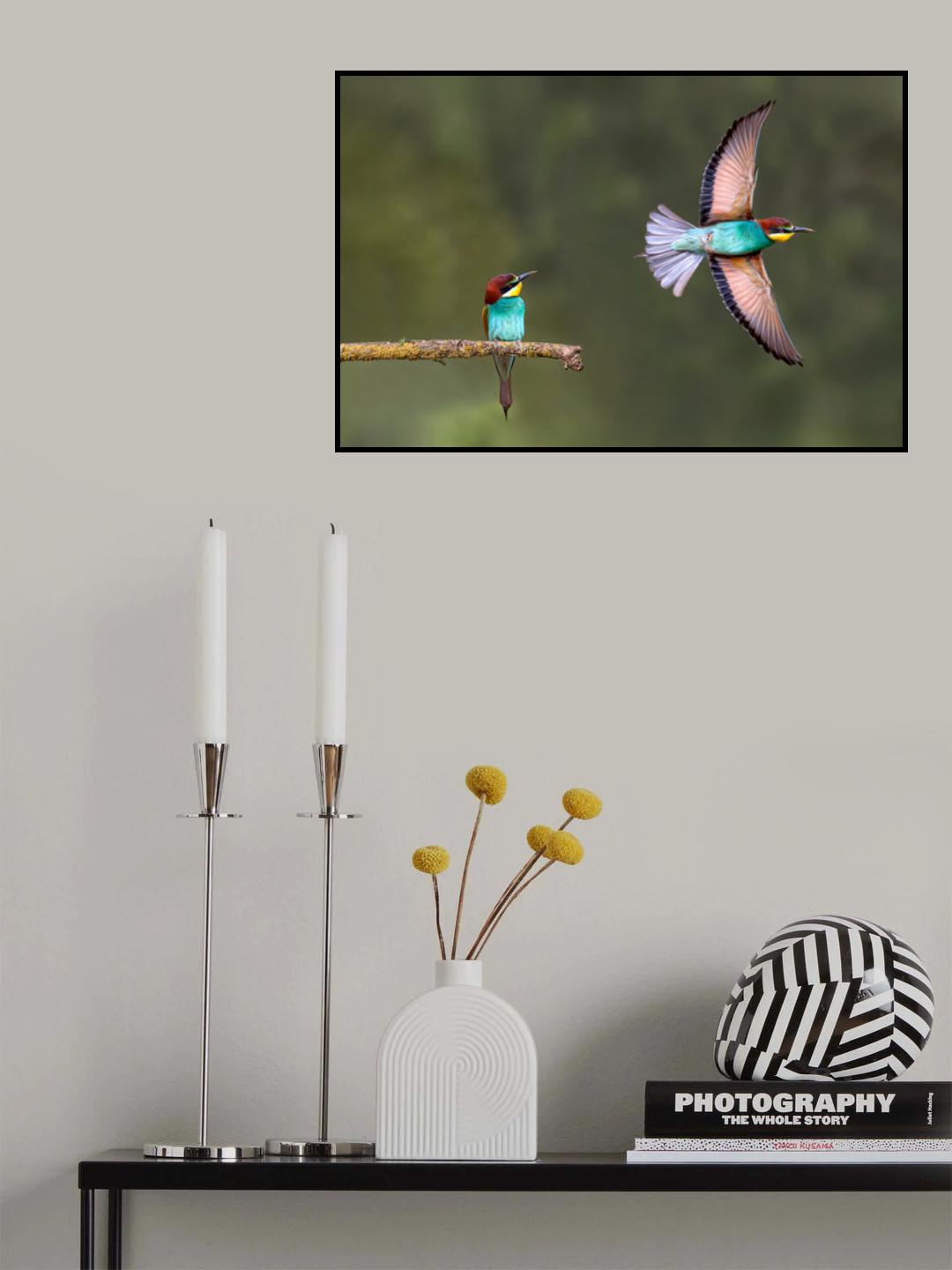 Bee-eater going for food Poster och Canvastavla