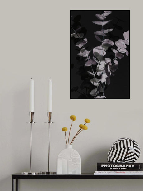 Eucalyptus_Negative_001 Poster och Canvastavla