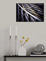 wing Poster och Canvastavla