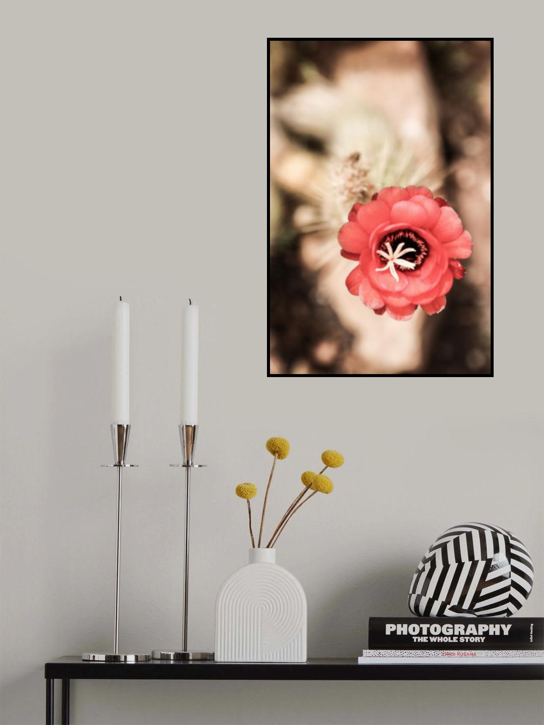 Desert Bloom Poster och Canvastavla
