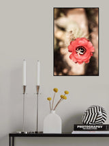 Desert Bloom Poster och Canvastavla