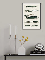 Vintage Whale Poster Poster och Canvastavla