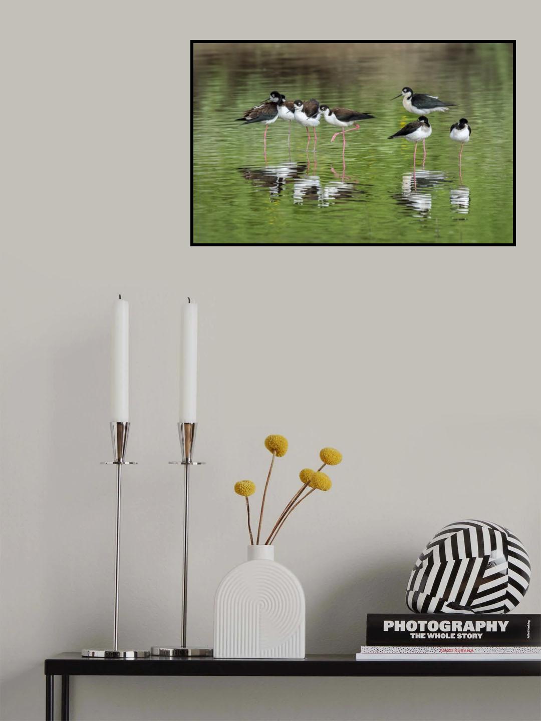 Nap Poster och Canvastavla