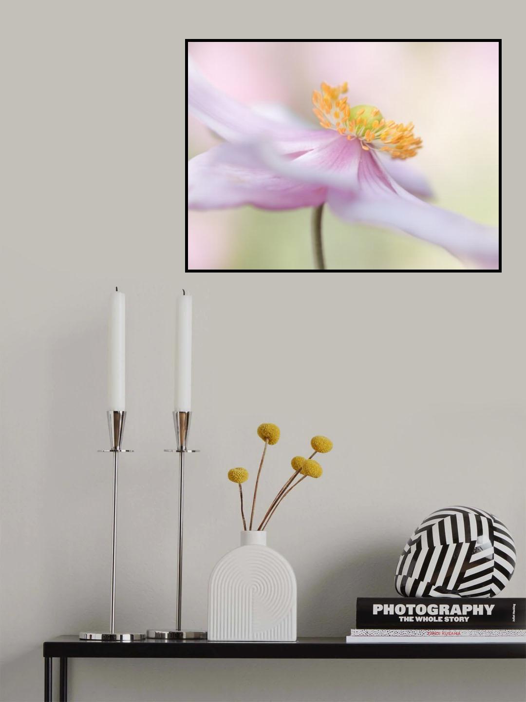 Japanese Anemone Poster och Canvastavla