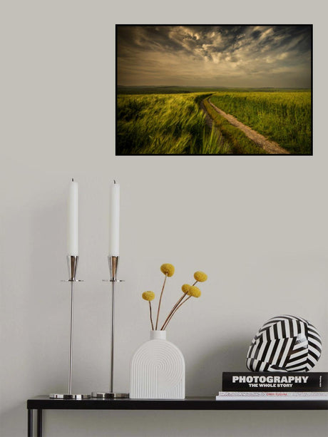 The green fields Poster och Canvastavla