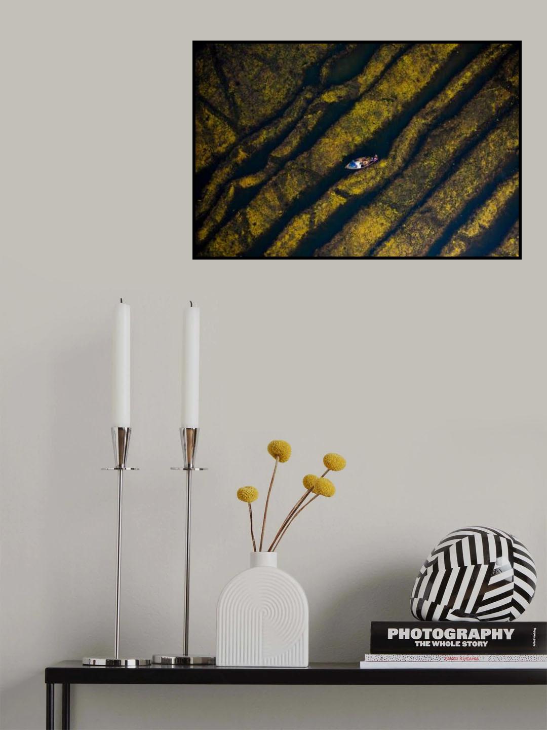 Fishermen moves on the algae Poster och Canvastavla
