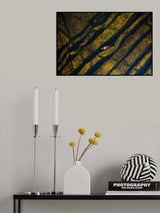 Fishermen moves on the algae Poster och Canvastavla