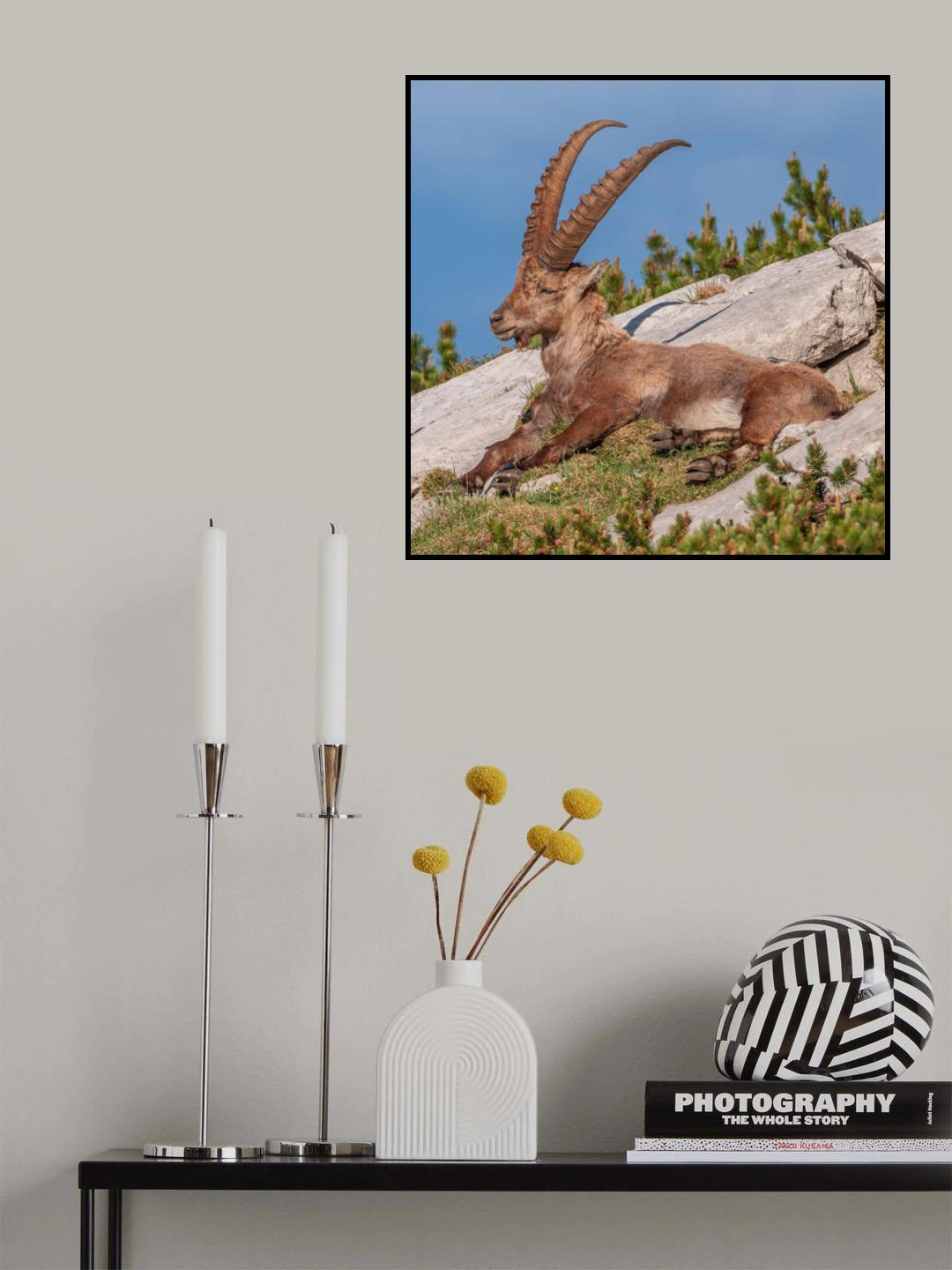 Relaxing Poster och Canvastavla