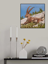 Relaxing Poster och Canvastavla