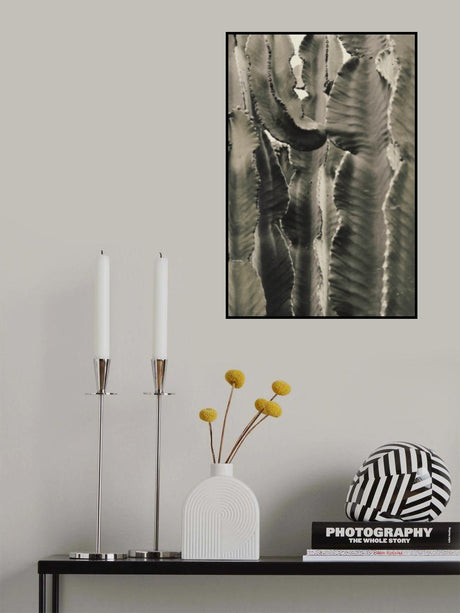 Cactus_002 Poster och Canvastavla