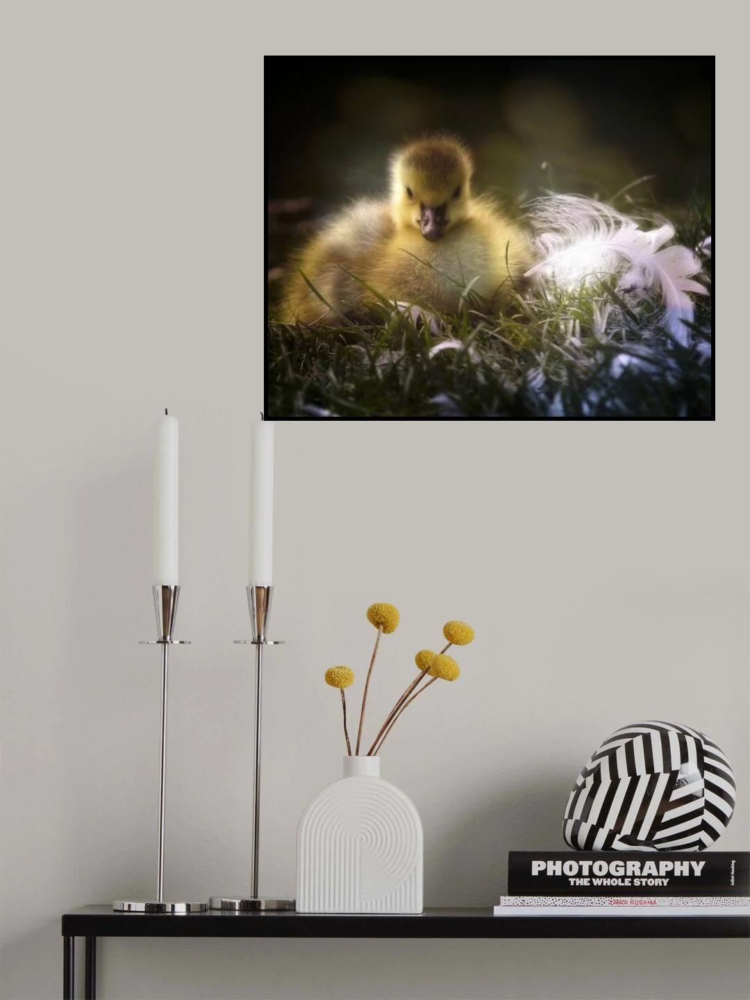 le poussin Poster och Canvastavla