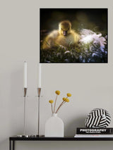 le poussin Poster och Canvastavla