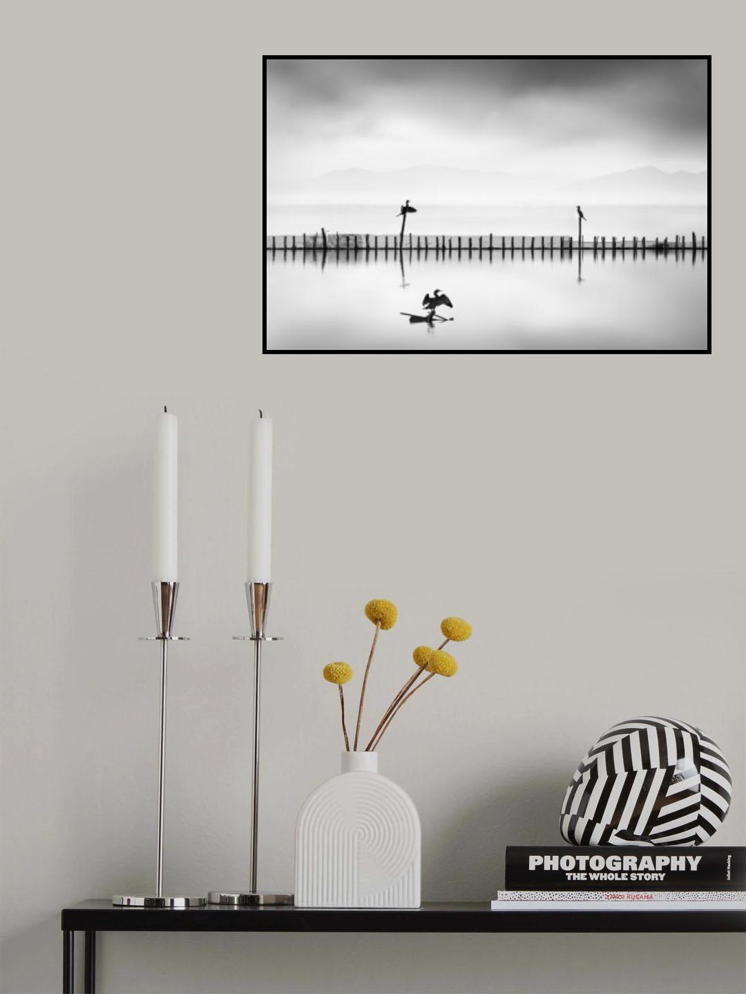 Three Cormorants Poster och Canvastavla