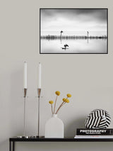 Three Cormorants Poster och Canvastavla