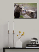 Close contact Poster och Canvastavla