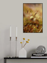 Magic stamen Poster och Canvastavla