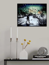 RainMan Poster och Canvastavla