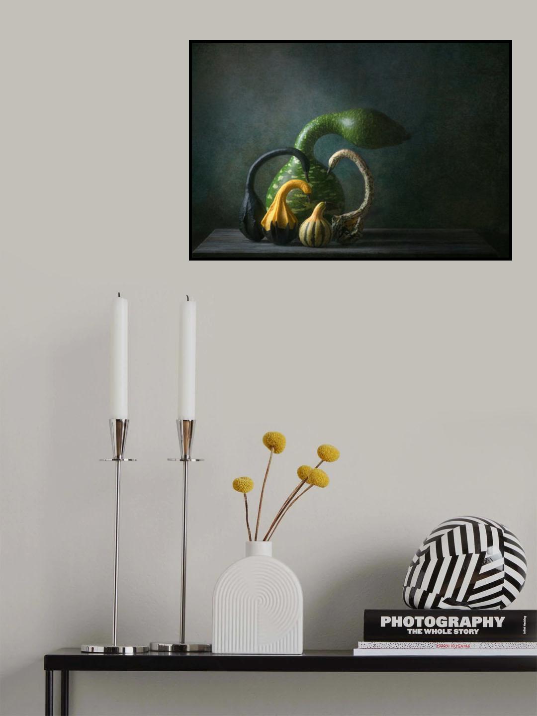 Swan Gourds Poster och Canvastavla