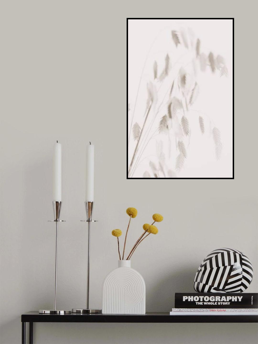 Dried Grass_pink Poster och Canvastavla