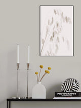 Dried Grass_pink Poster och Canvastavla