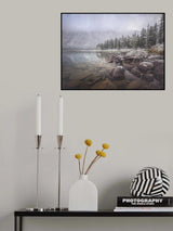 Winter Poster och Canvastavla