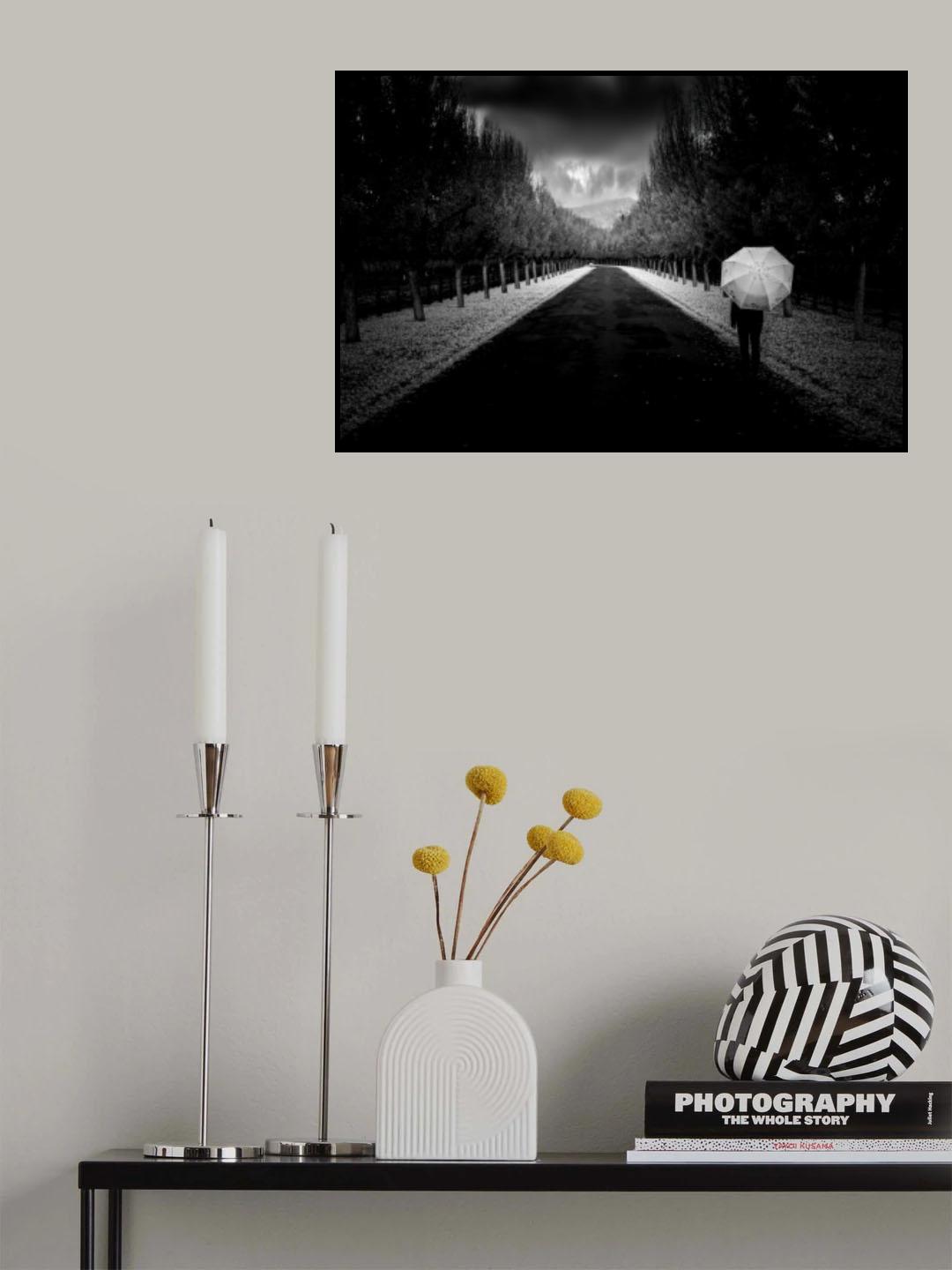 NAPA in Autumn Poster och Canvastavla