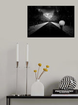 NAPA in Autumn Poster och Canvastavla