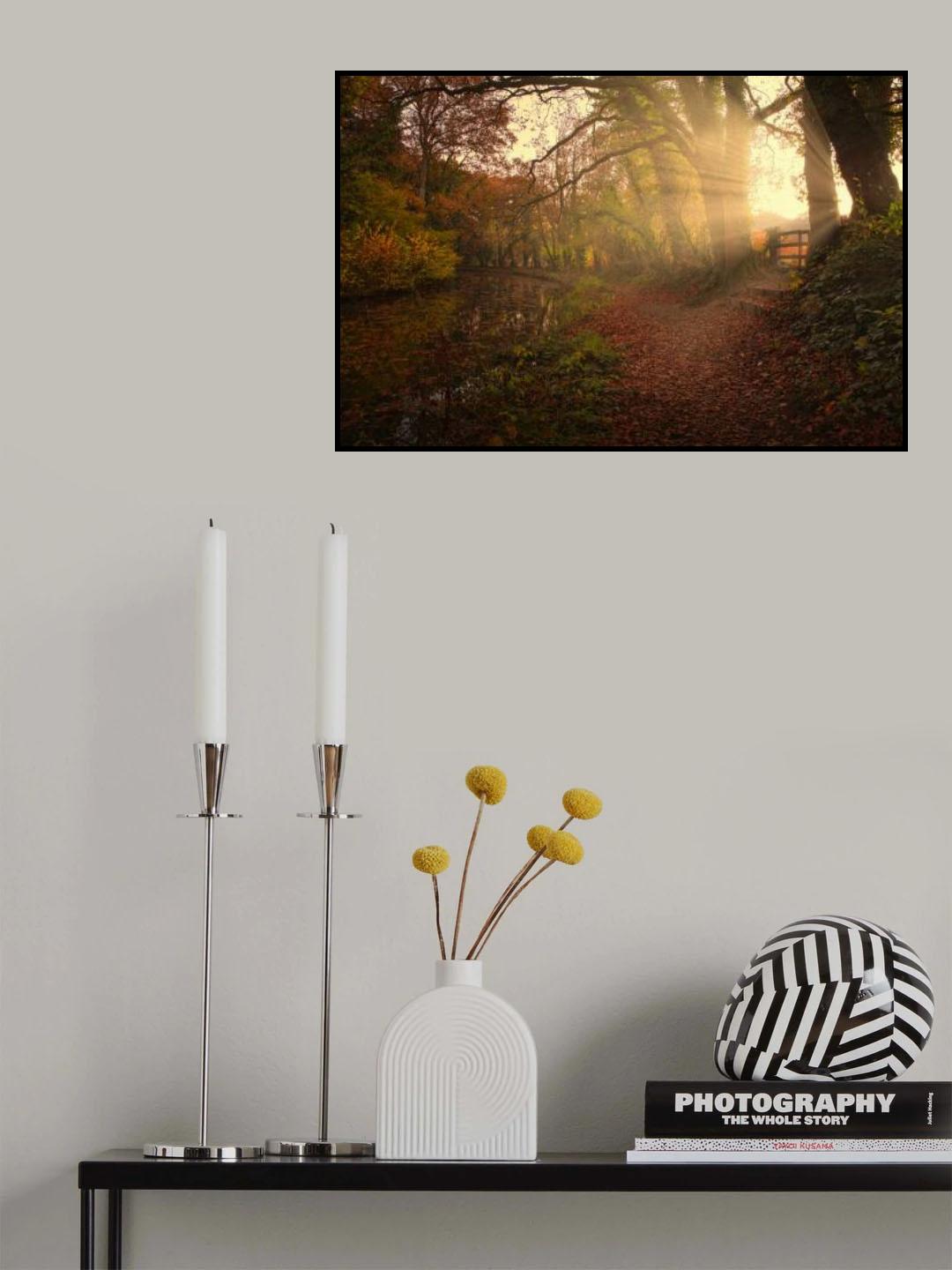 Sunset by the Canal Poster och Canvastavla