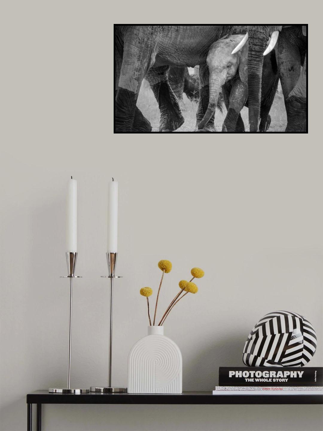 Family Protection Poster och Canvastavla