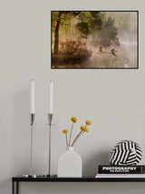 Goose fight Poster och Canvastavla