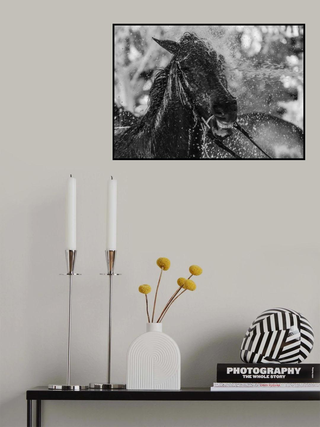 Splash Poster och Canvastavla