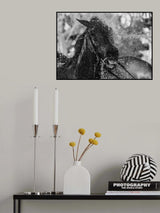 Splash Poster och Canvastavla