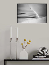 Dicovering the untouched land Poster och Canvastavla